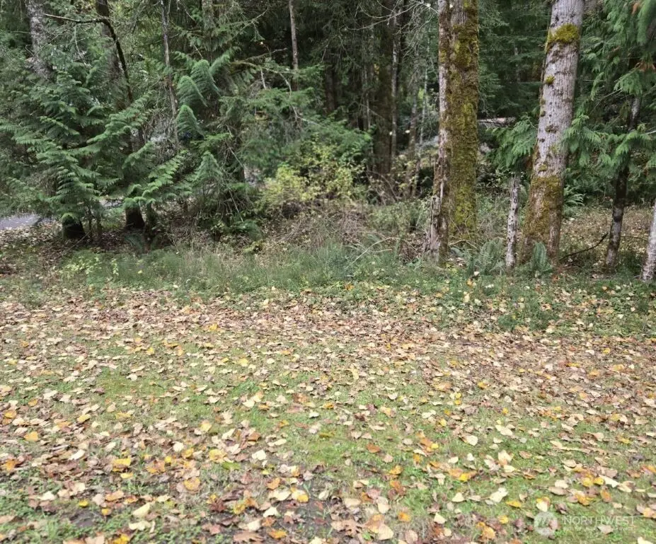 8 Huckleberry Court #37, Bellingham, WA 98229 - #1