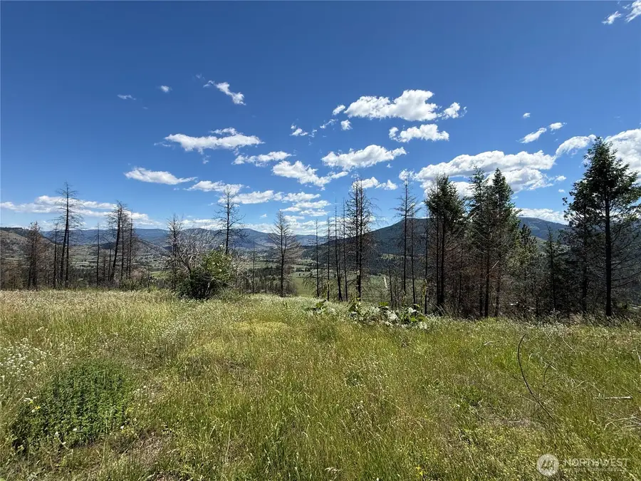 367 4th Of July Creek Road #Lot 31, Danville, WA 99121 - #2