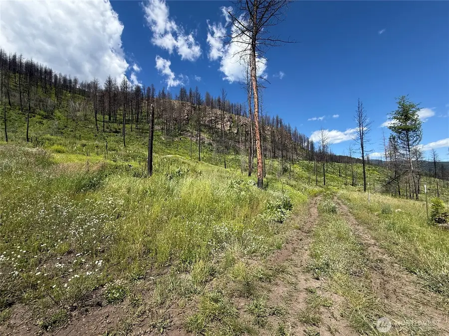 367 4th Of July Creek Road #Lot 31, Danville, WA 99121 - #3