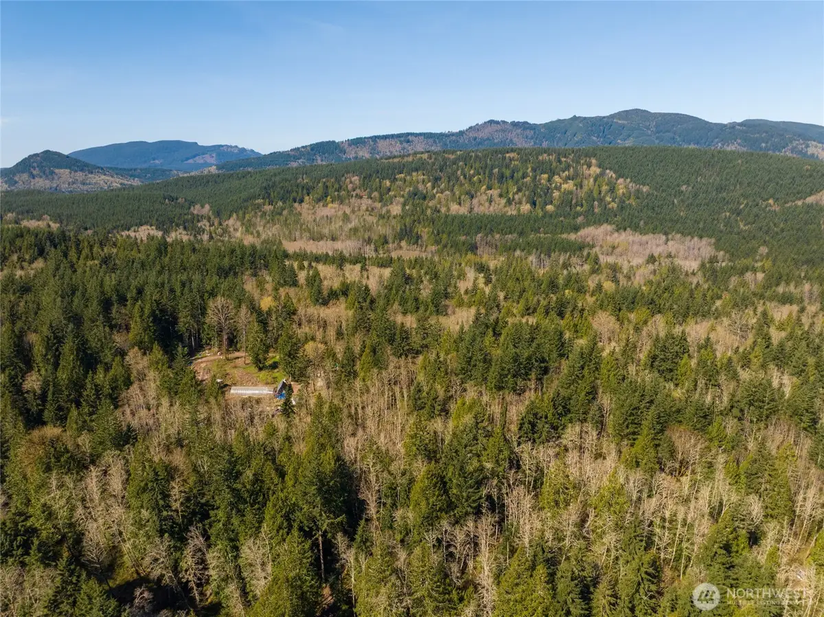 350 Cheetah Lane, Sedro Woolley, WA 98284 - #1