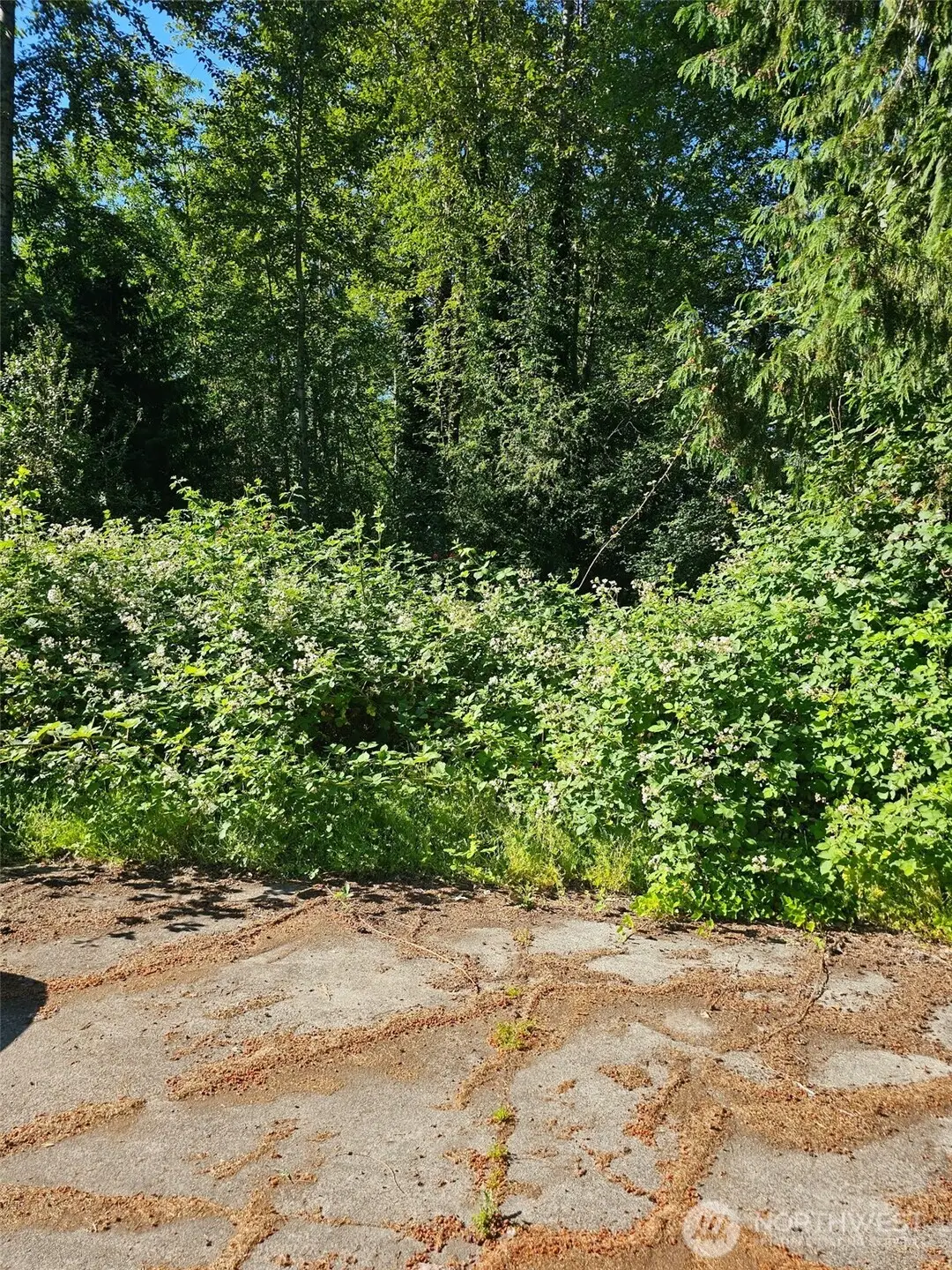 178 54th Place Sw, Lynnwood, WA 98037 - #1