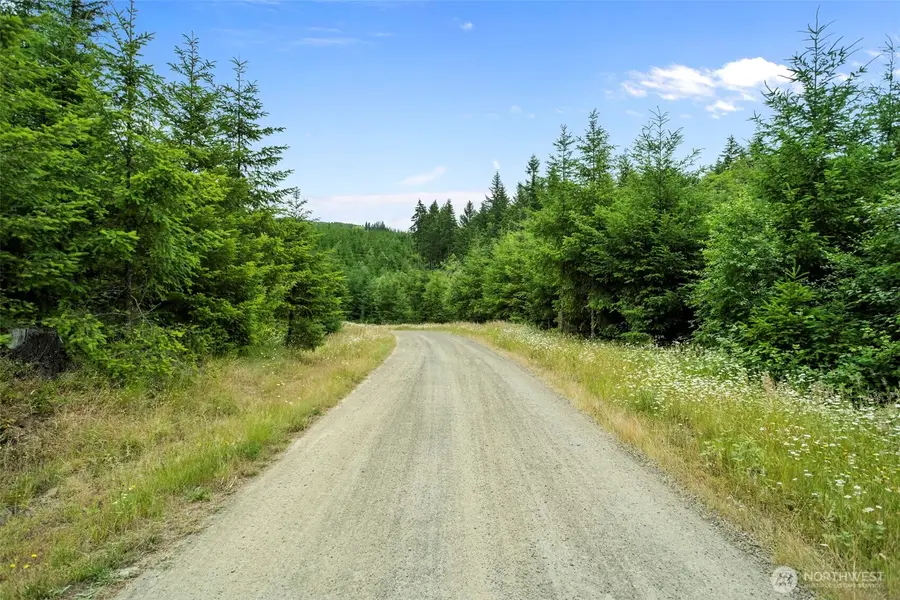 104 Bootjack Lane, Kelso, WA 98626 - #3