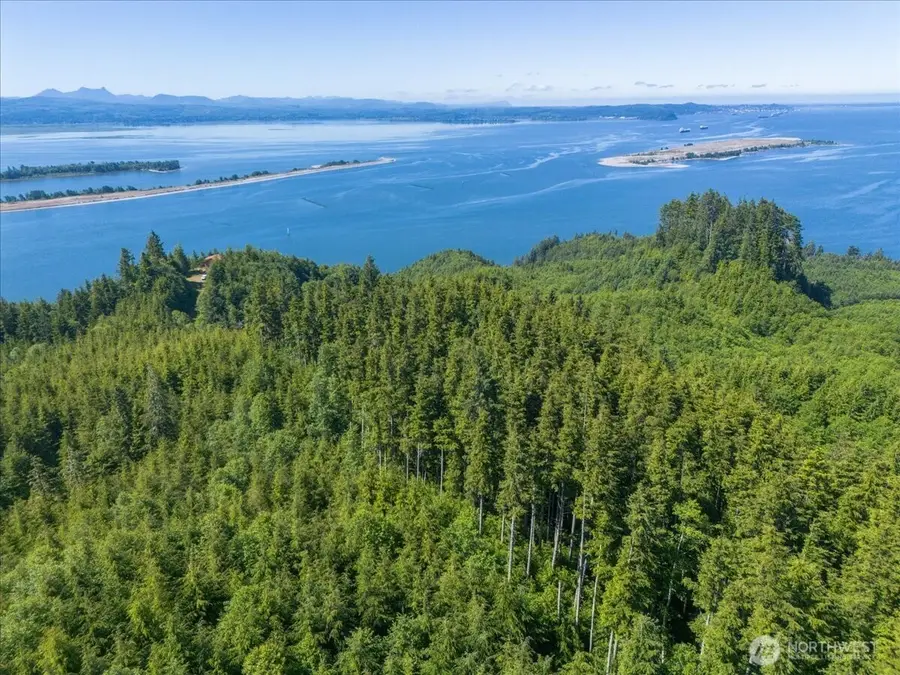 0 Cottardi Heights Road, Rosburg, WA 98643 - #2