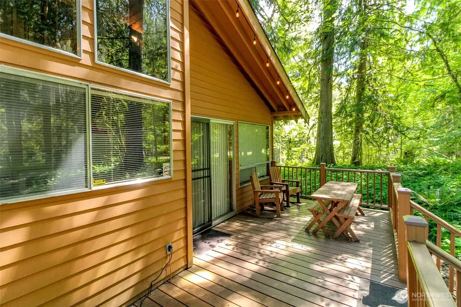 38115 564th St Ct E, Ashford, WA 98304 - #3