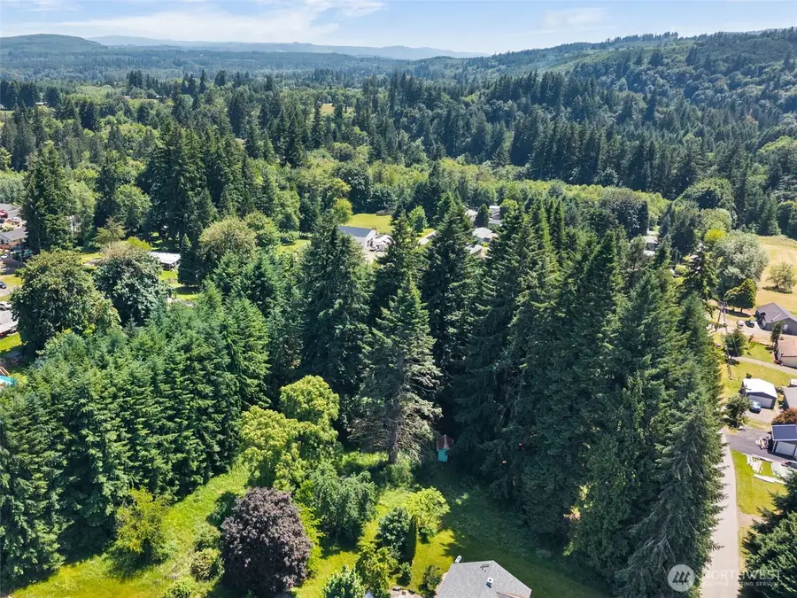 0 E Street, Vader, WA 98593 - #3