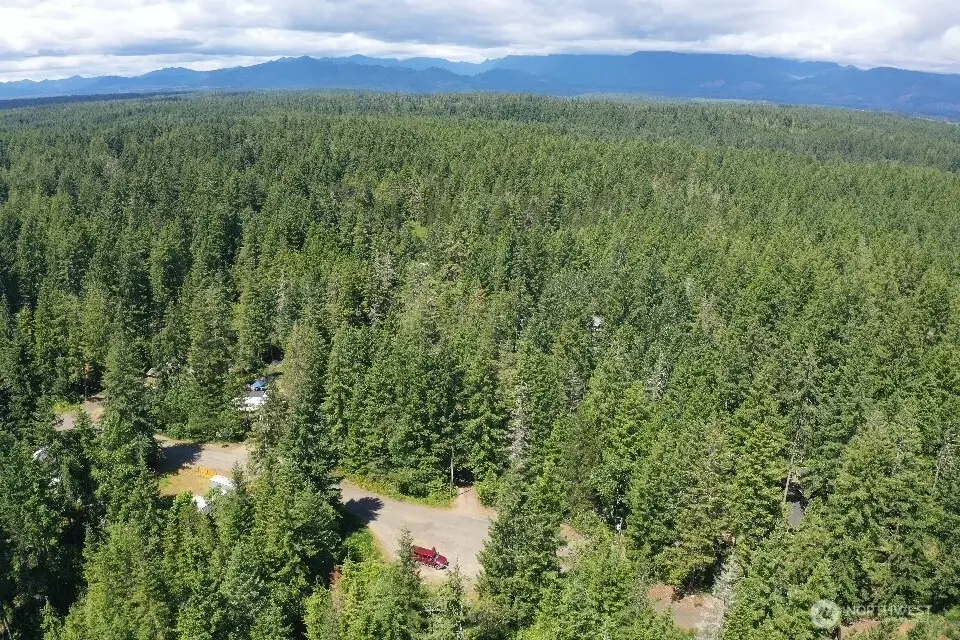 101 NE Creekside Place, Tahuya, WA 98588 - #1