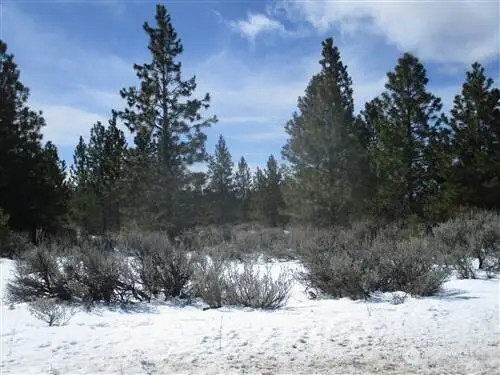 6 Chipmunk Trail, Waterville, WA 98858