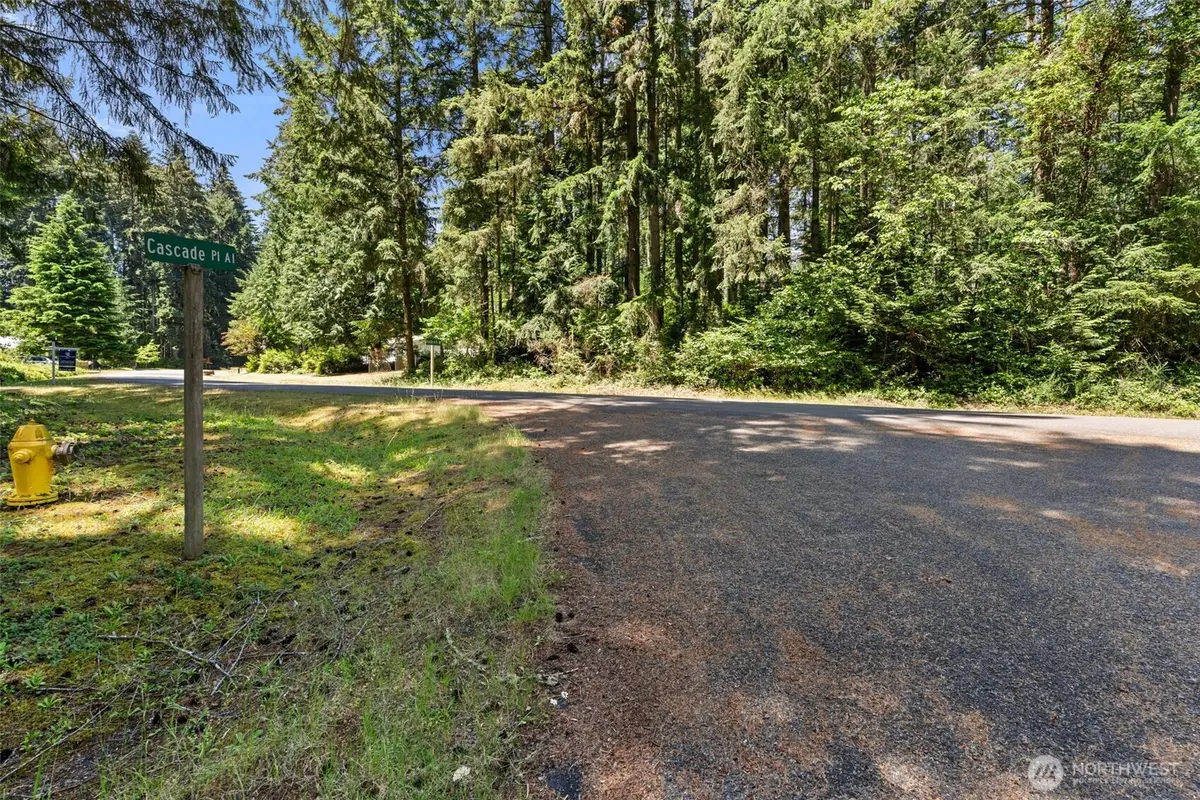 11103 Leschi Circle, Anderson Island, WA 98303 - #1