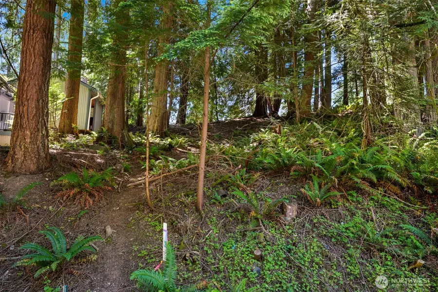 30 Canyon Court #52, Bellingham, WA 98229 - #2