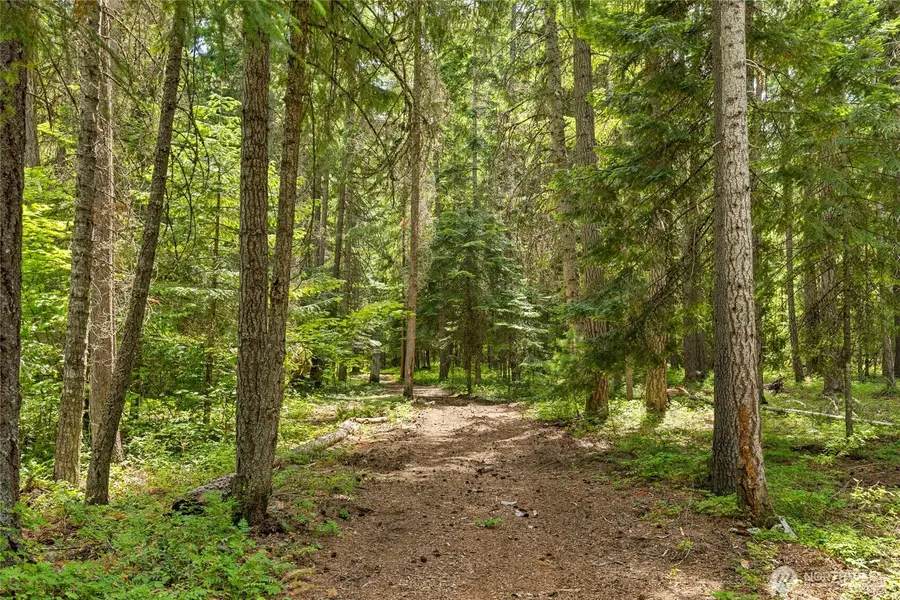 800 Timber Mountain Loop, Cle Elum, WA 98922 - #2