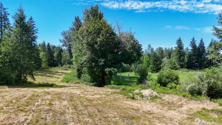 21842 Elbow Lake Road Se #1, Yelm, WA 98597 - #3