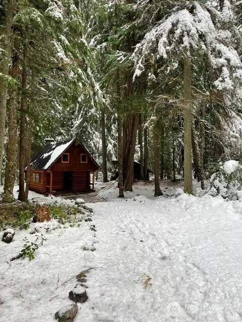 162 Silver Creek - Usfs, Greenwater, WA 98022 - #3