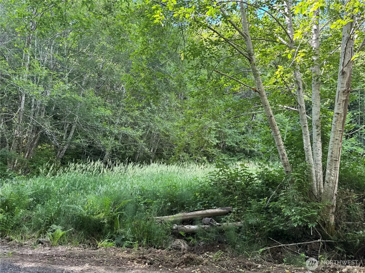 190 W Thunderbird Drive #Lot  39, Elma, WA 98541 - #1