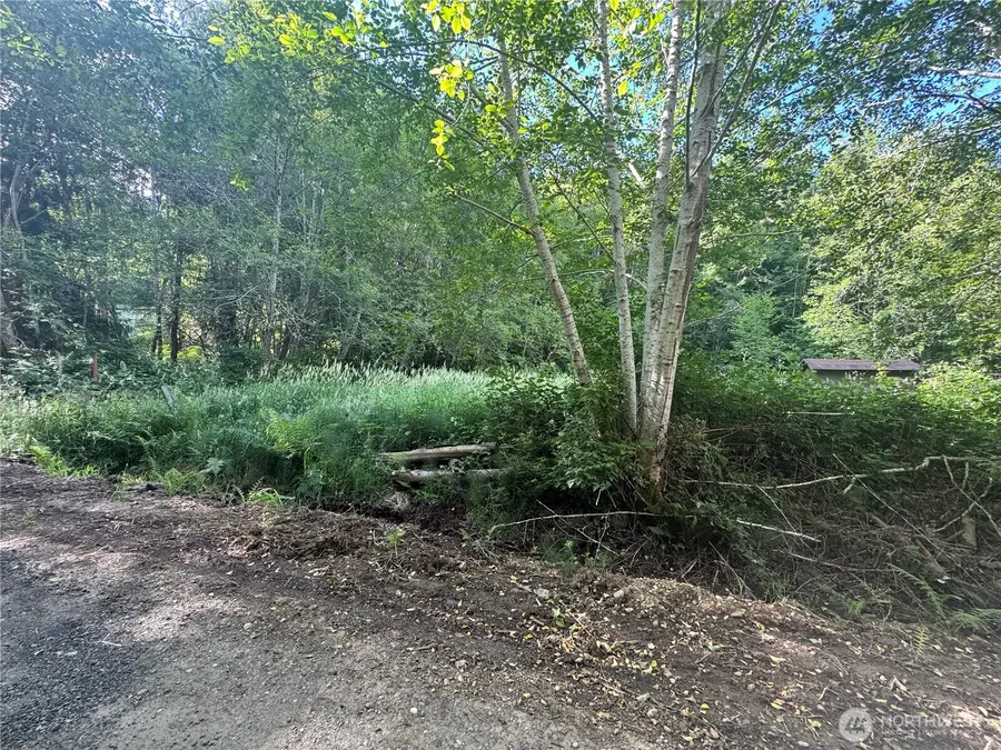 190 W Thunderbird Drive #Lot  39, Elma, WA 98541 - #2