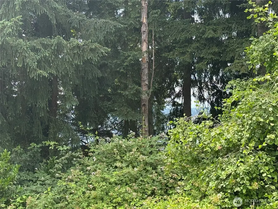 0 NE 120th Street, Kirkland, WA 98034 - #3