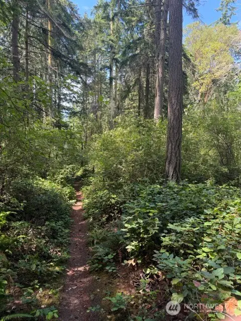 0 Fowler Park #5 & 6, Port Townsend, WA 98368 - #2