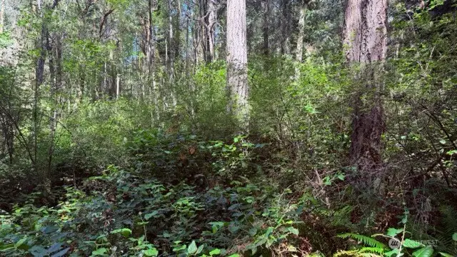 0 Fowler Park #5 & 6, Port Townsend, WA 98368 - #3