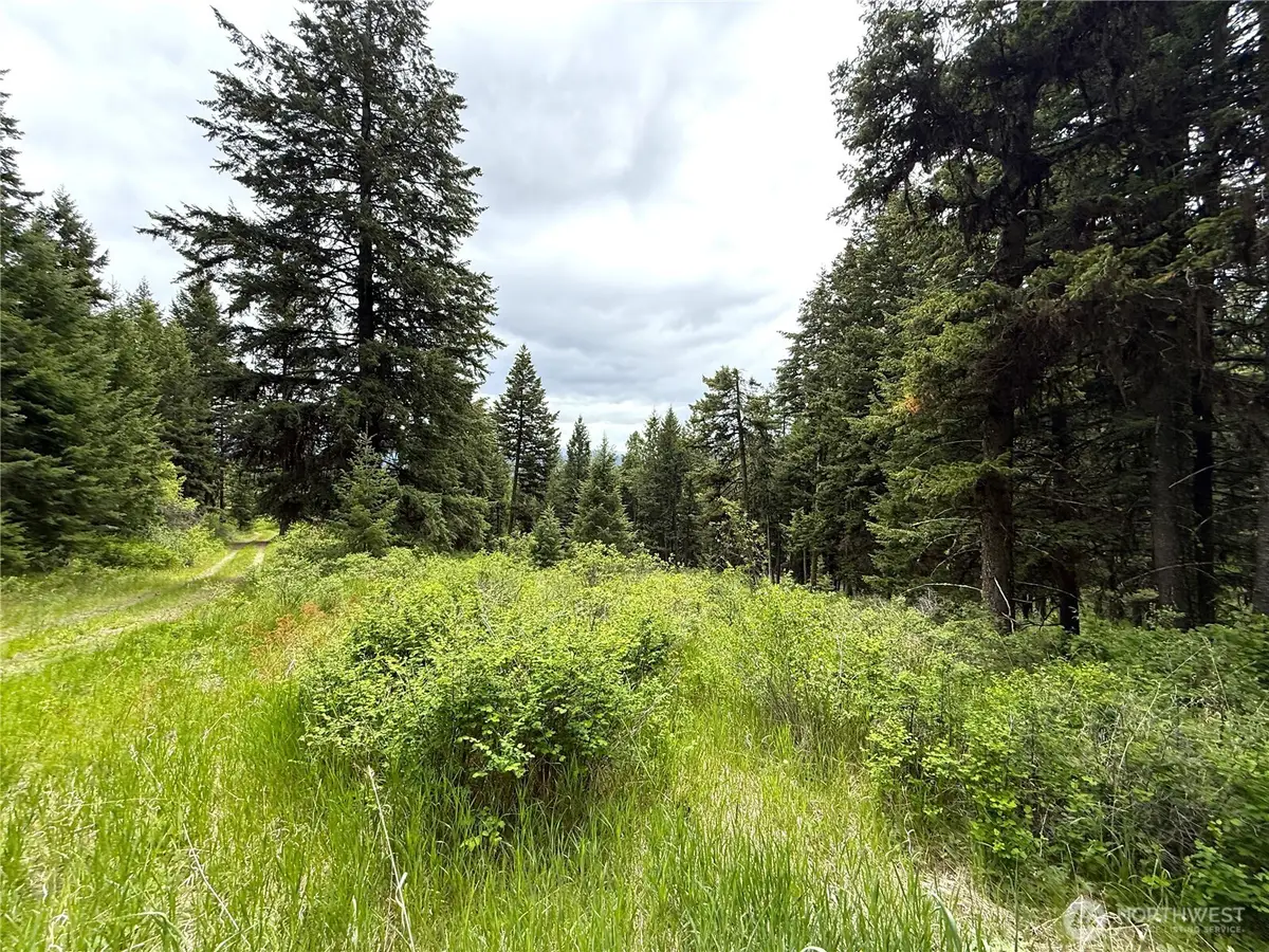 0 Pontiac Ridge Road, Oroville, WA 98844 - #1