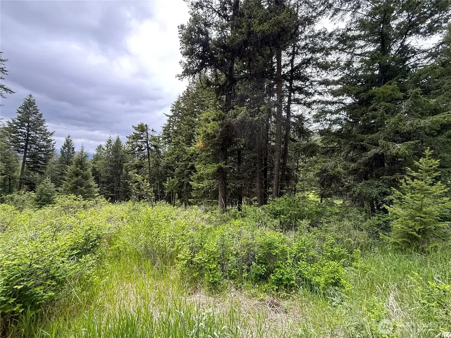 0 Pontiac Ridge Road, Oroville, WA 98844 - #3