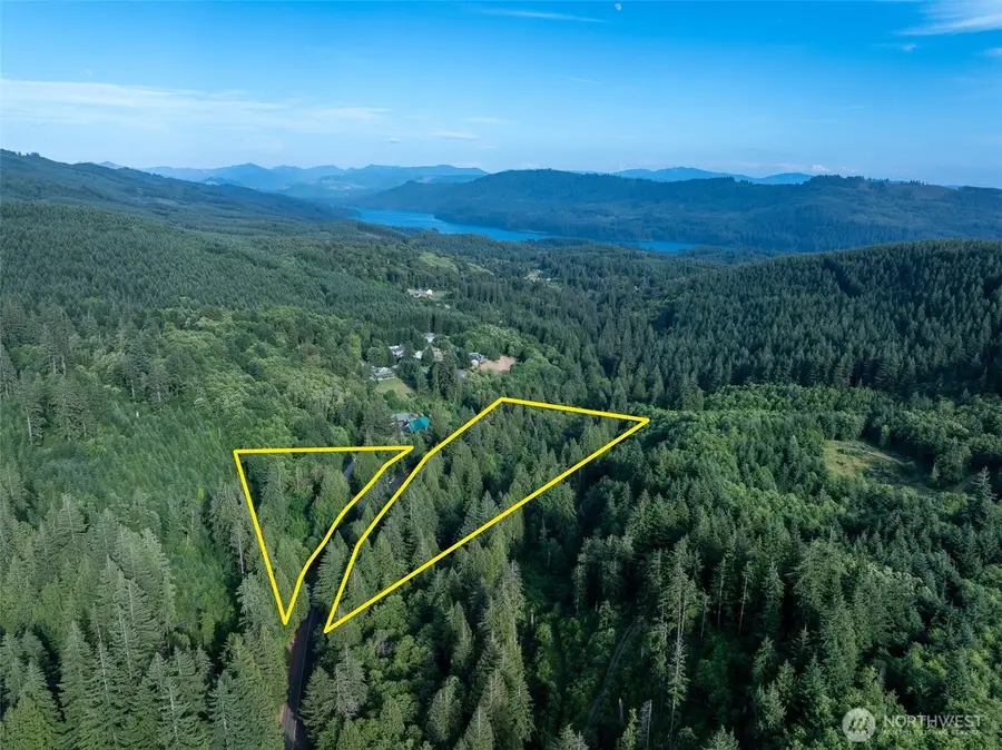 0 N Dubios Road, Ariel, WA 98603 - #2