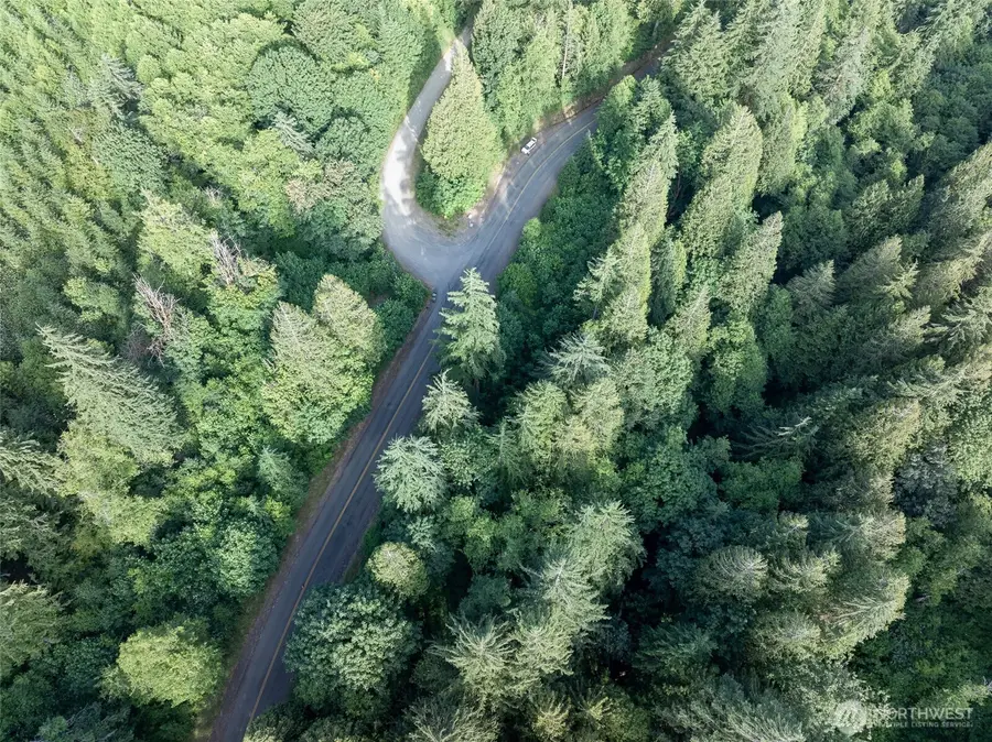0 N Dubios Road, Ariel, WA 98603 - #3