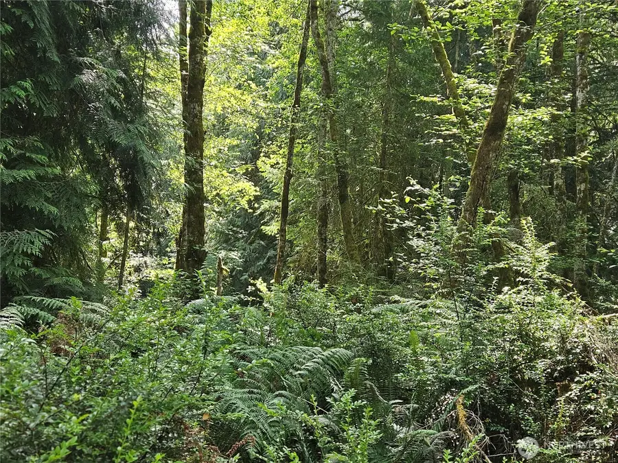 124 E Go Onna Drive #29, Quilcene, WA 98376 - #3