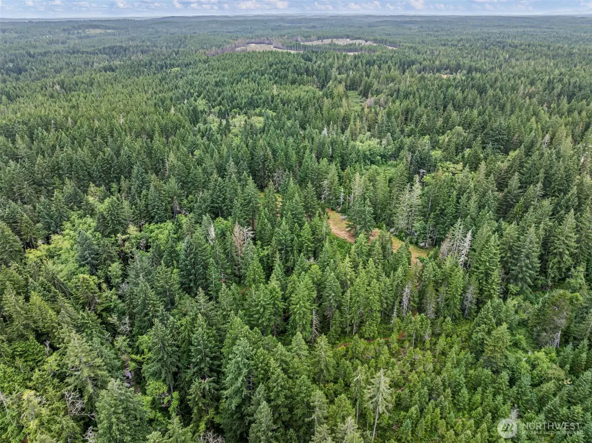80 NE Smithy Forge Lane, Belfair, WA 98528 - #1