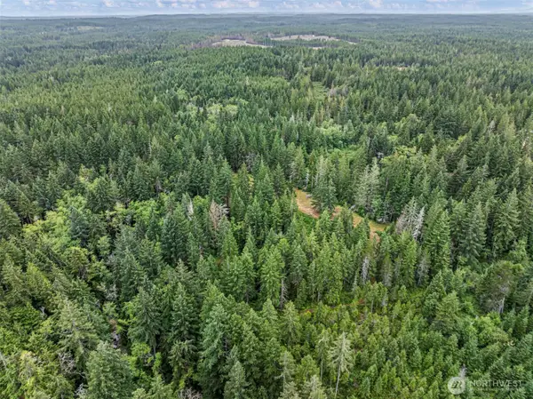 80 NE Smithy Forge Lane, Belfair, WA 98528