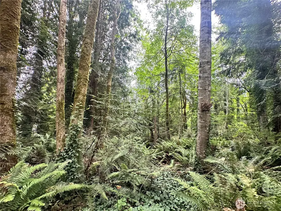 0 Alder #10 and 11, Indianola, WA 98342 - #3