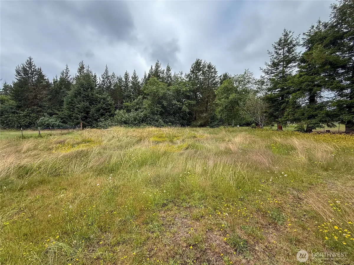10607 Sandridge Road, Long Beach, WA 98631 - #1