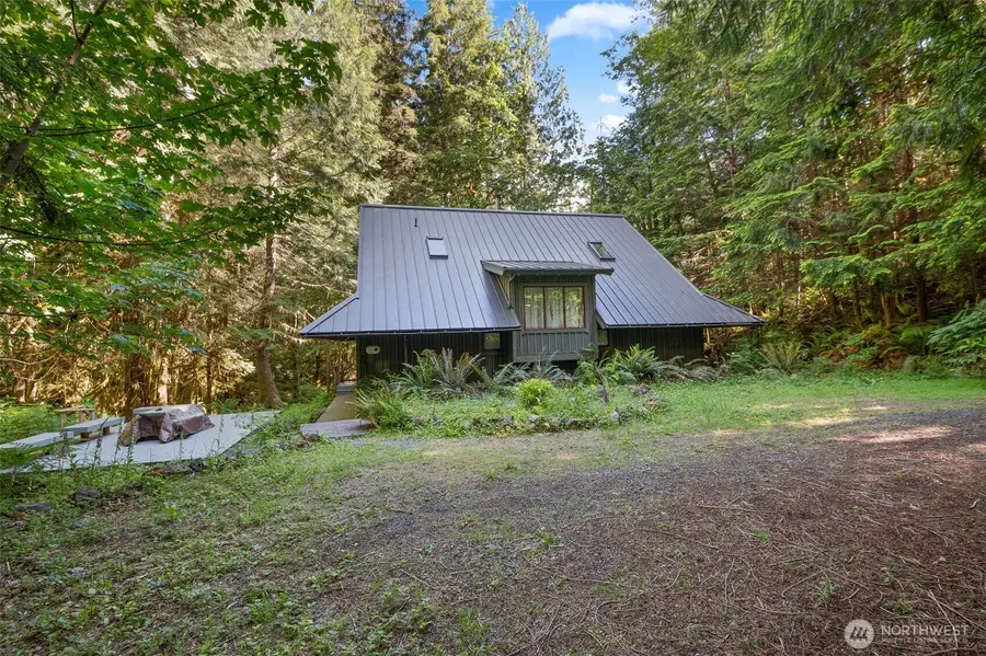 315 Coyote Road, Brinnon, WA 98320 - #2