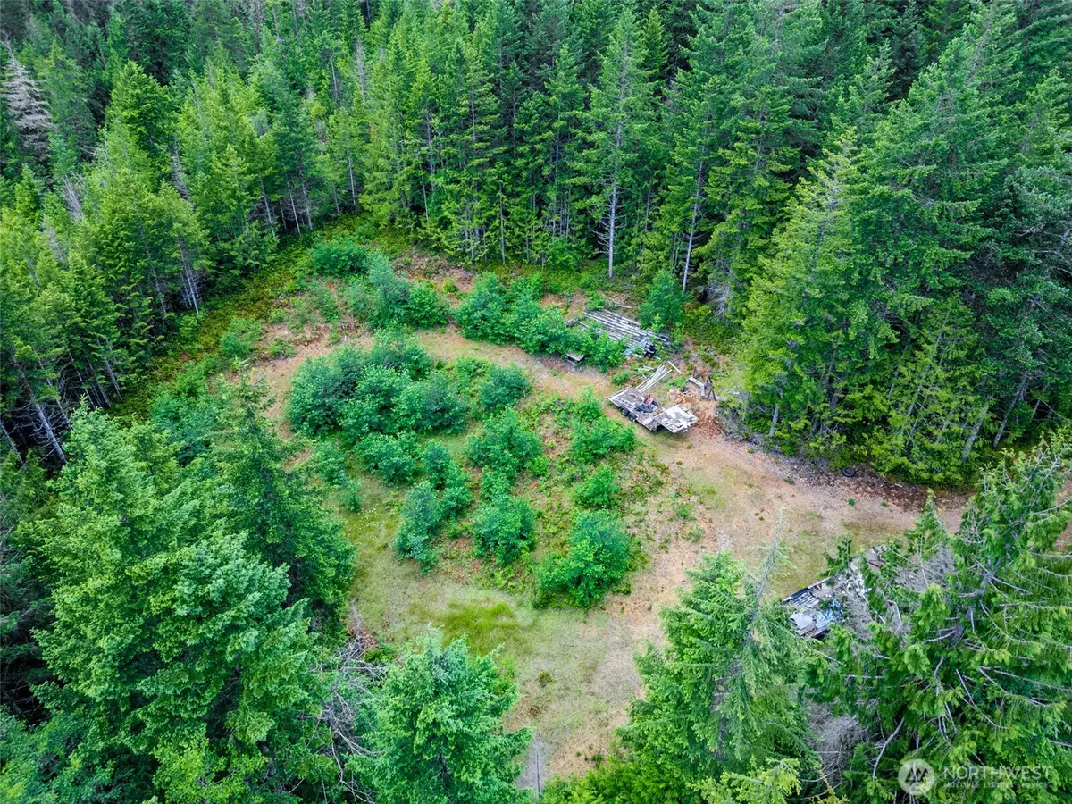 129 Valley View Lane, Brinnon, WA 98320 - #1