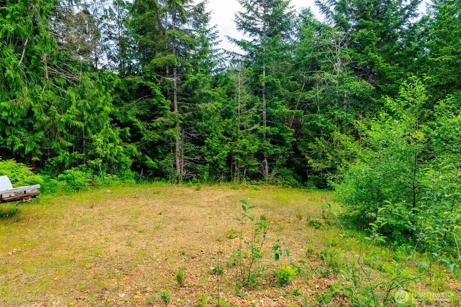 129 Valley View Lane, Brinnon, WA 98320 - #2