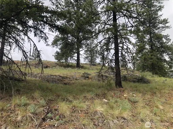 227 Point Drive, Oroville, WA 98844