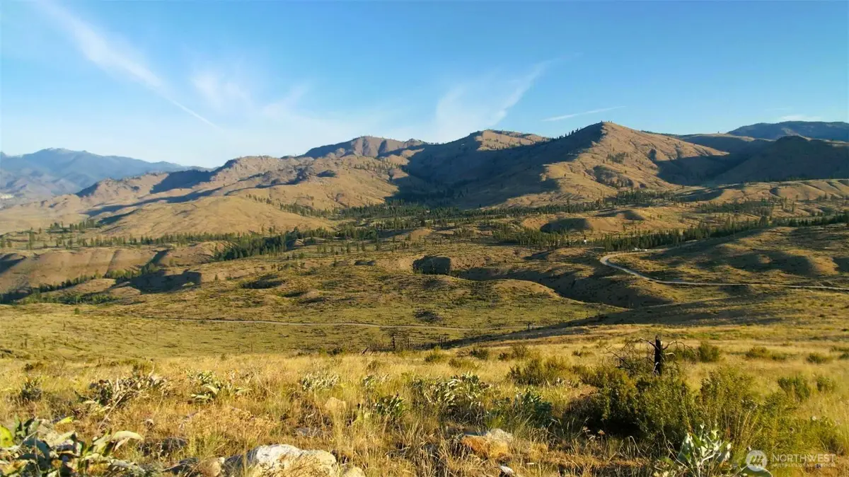 75 High Ranch Road #Lot 3, Methow, WA 98834 - #1