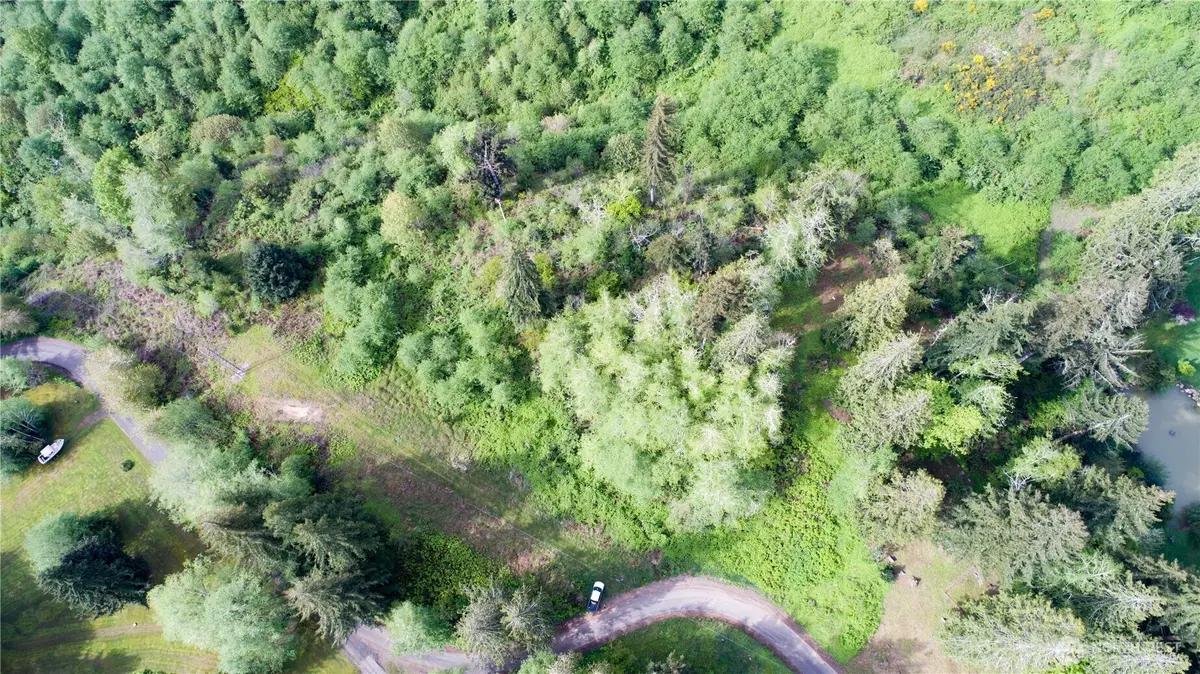 1111 Washington Cemetery Road, Raymond, WA 98577 - #1
