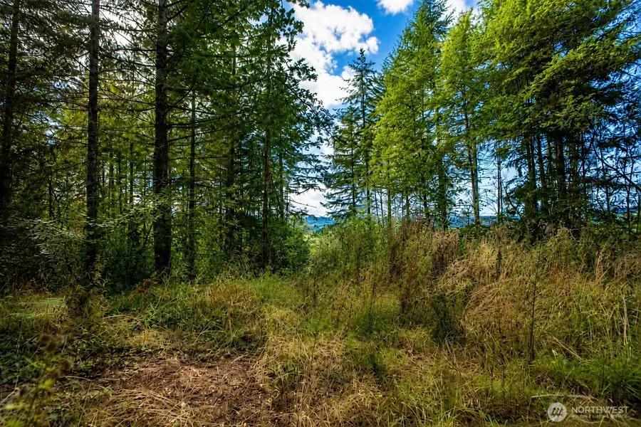 673 Curtis Hill Road, Chehalis, WA 98532 - #3