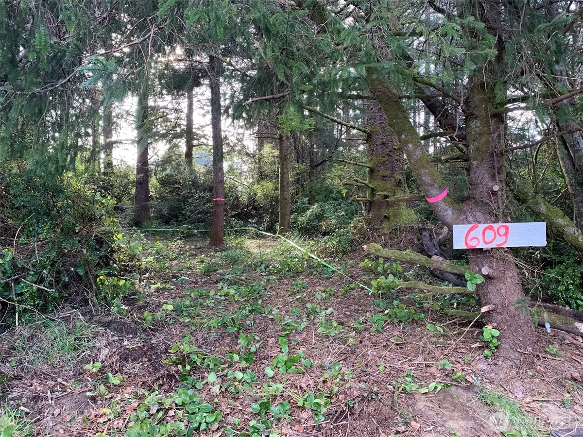 609 Weatherwax, Ocean Shores, WA 98569 - #1