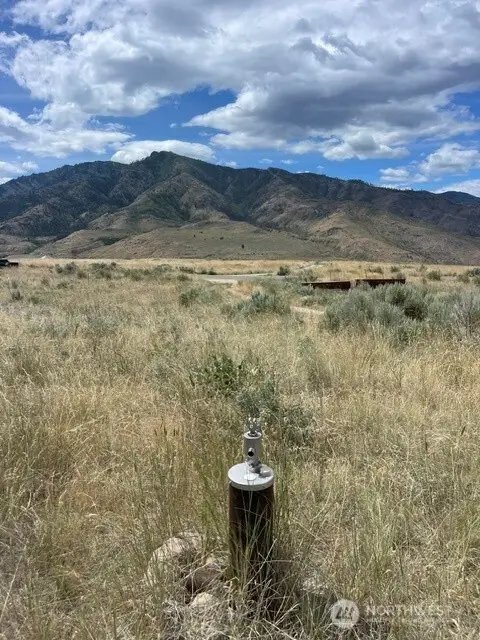 0 Lot 1, Bill Shaw Road #1, Pateros, WA 98846
