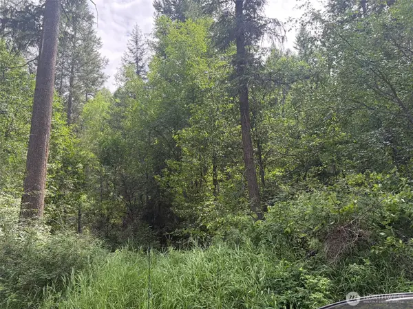 111 Lambert Creek Road, Republic, WA 99166