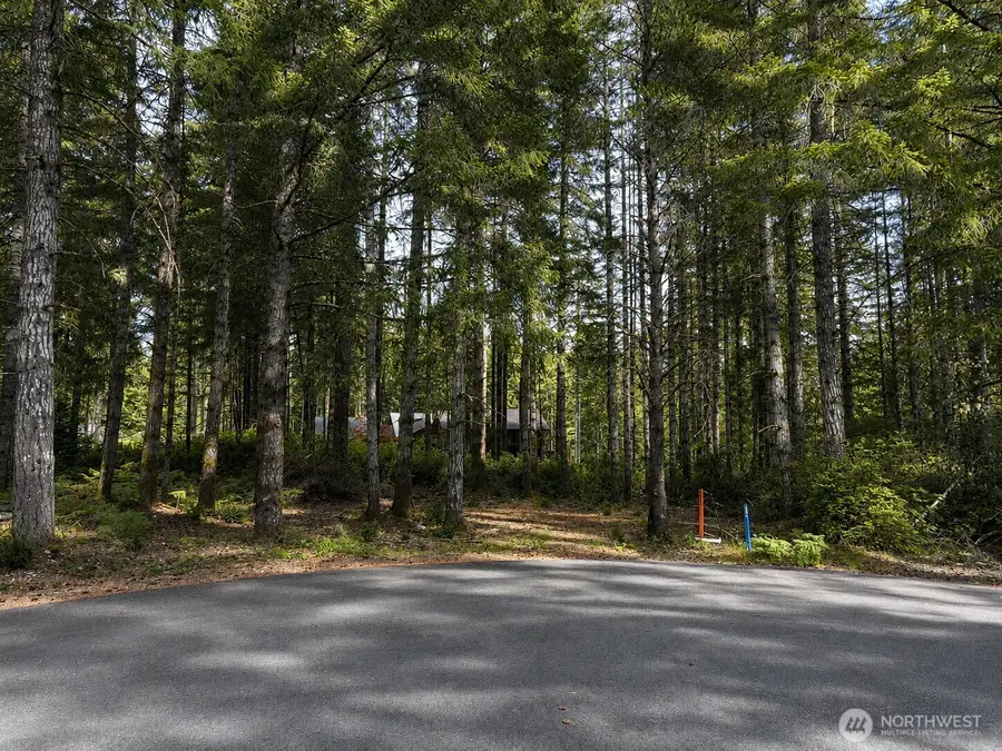 21 E Dogwood Court, Union, WA 98592 - #3