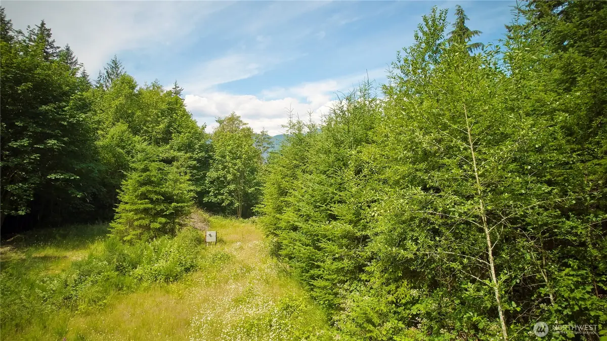 591 Casera Drive #Lot  6, Quilcene, WA 98376 - #1