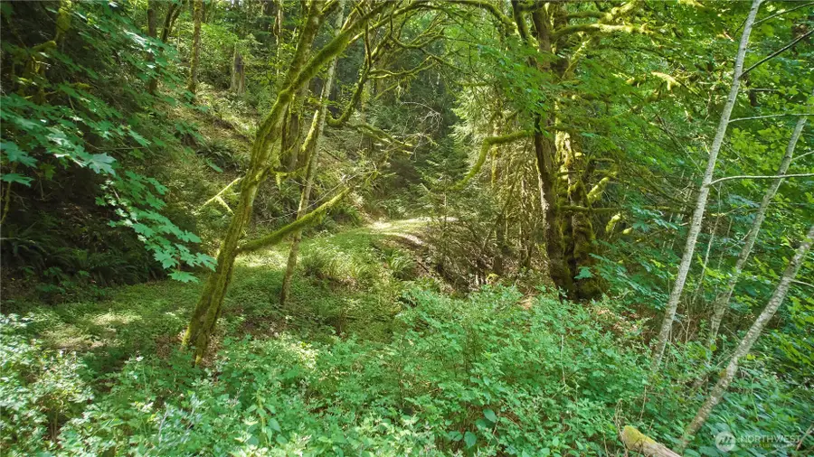 591 Casera Drive #Lot  6, Quilcene, WA 98376 - #3