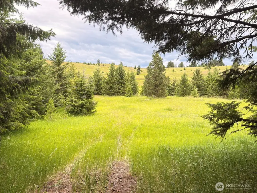 12 S Teal Lake Road, Oroville, WA 98844 - #2
