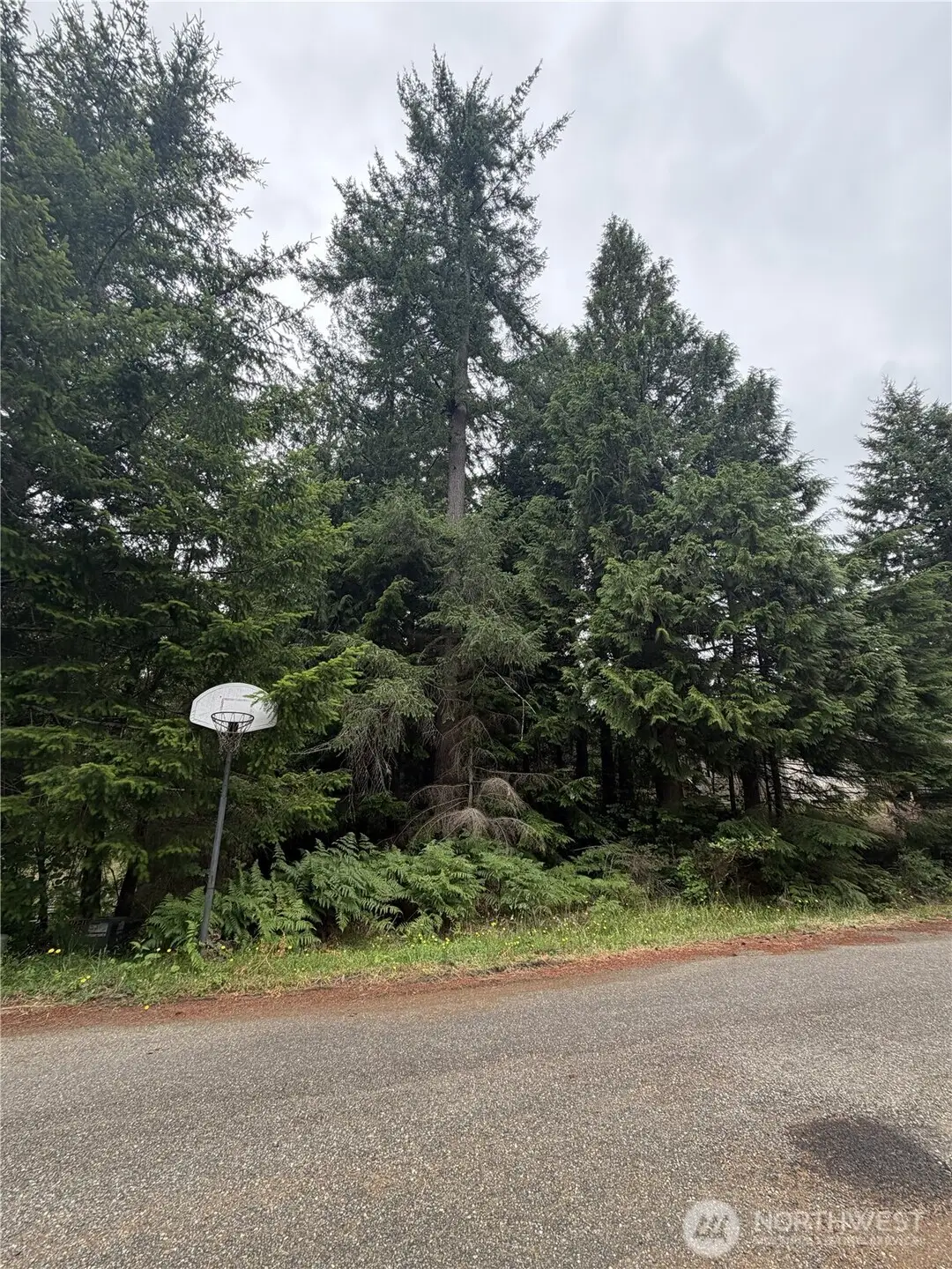 141 SE Azalea Place, Shelton, WA 98584 - #1