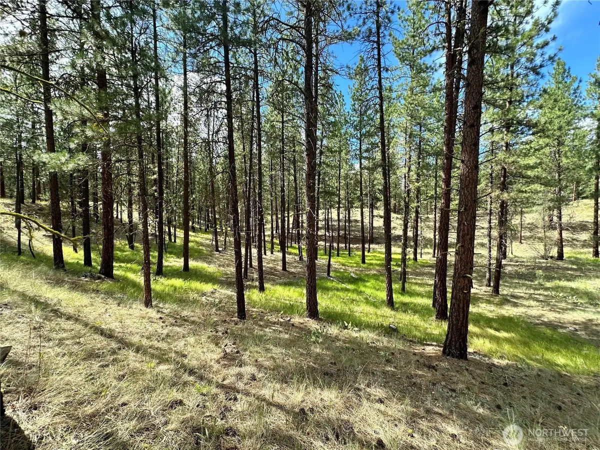 67 Larkspur Drive #58, Winthrop, WA 98862 - #1