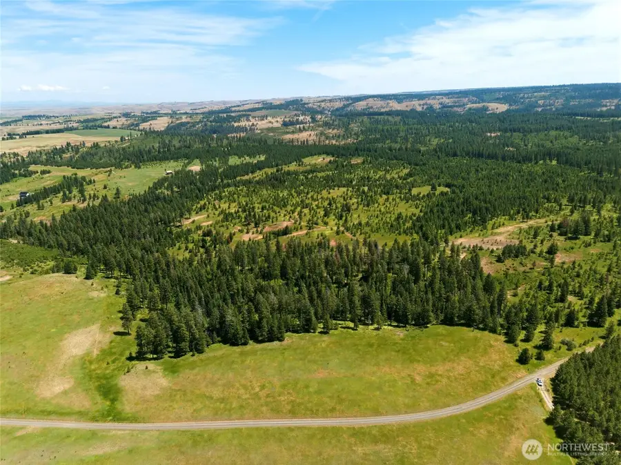 0 Lot 1 Cougar Canyon Road #1, Dayton, WA 99328 - #2