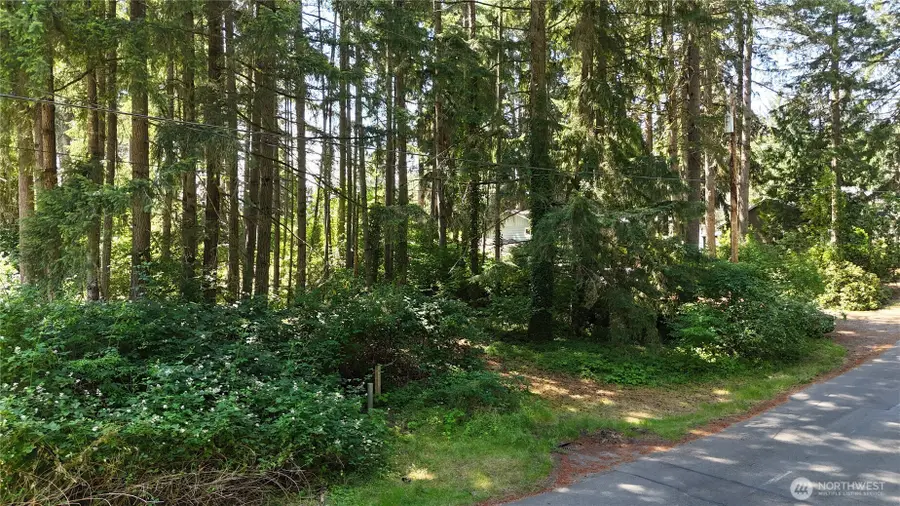 3901 Long Lake Dr Se, Lacey, WA 98503 - #3
