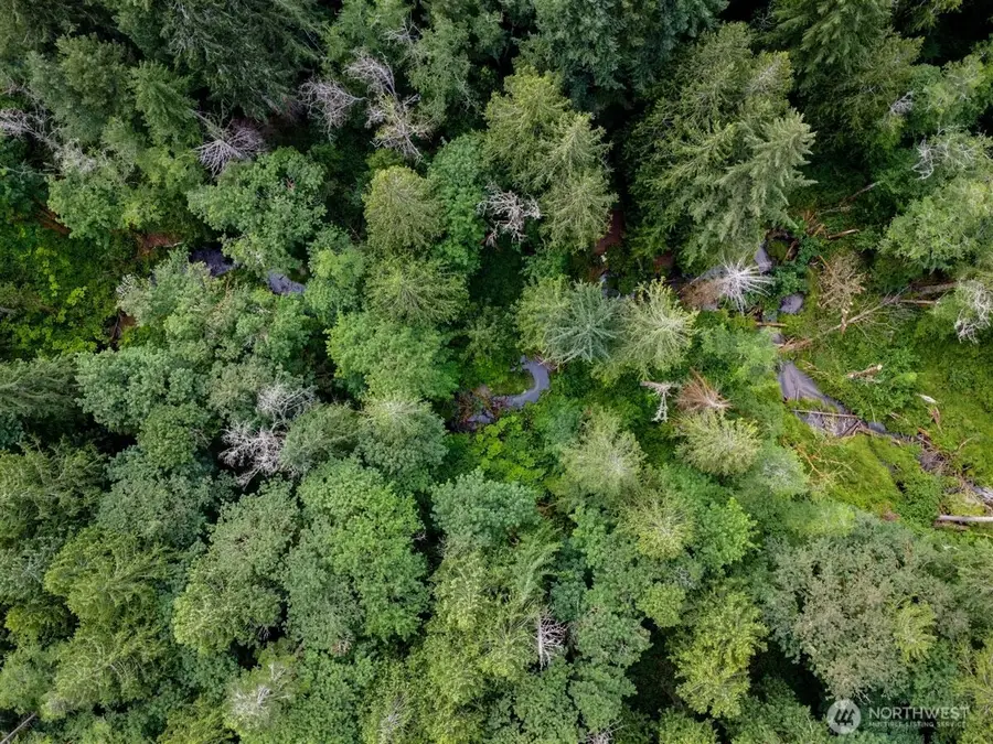 0 Nels Nelson Road Nw, Bremerton, WA 98311 - #2