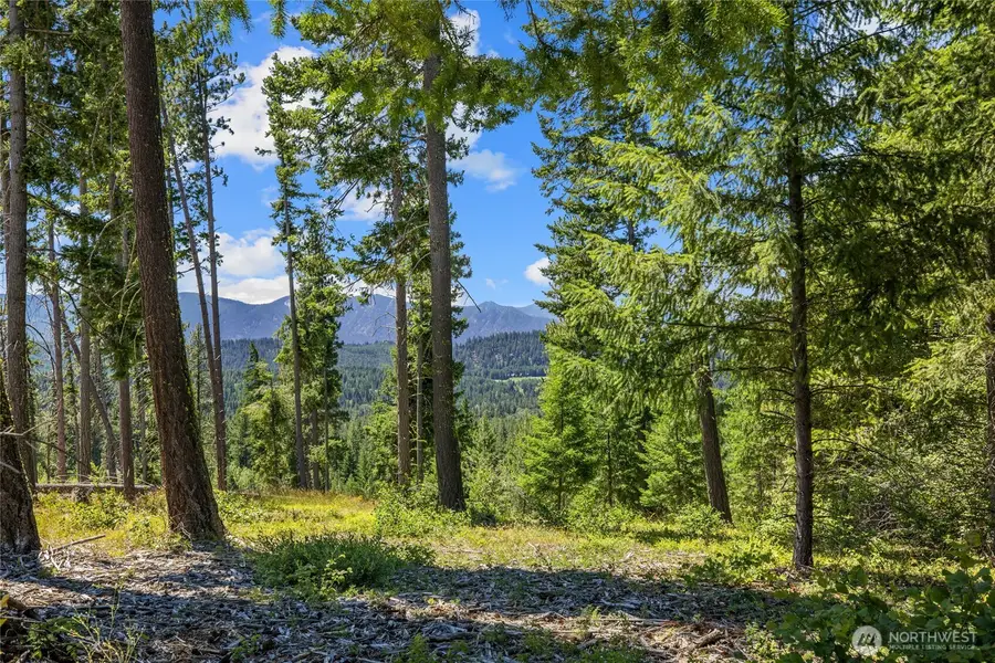 4 Red Sky Way #4, Cle Elum, WA 98922 - #2